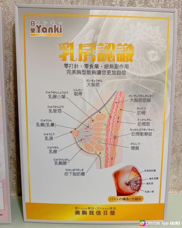 Yanki日瑩日本豐胸造乳術 🌟