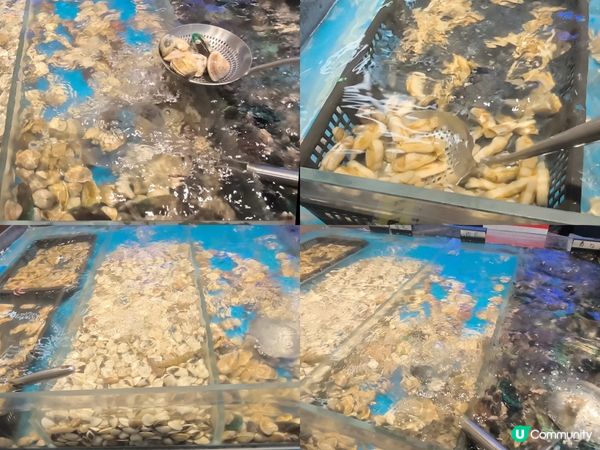 激抵！深圳東門￥88 手切鮮牛肉+即撈活海鮮+刺身火鍋放題