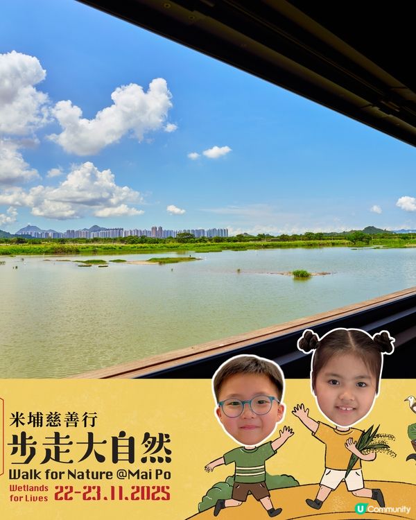 米埔步走大自然2025！親子必去！🏞️🦚