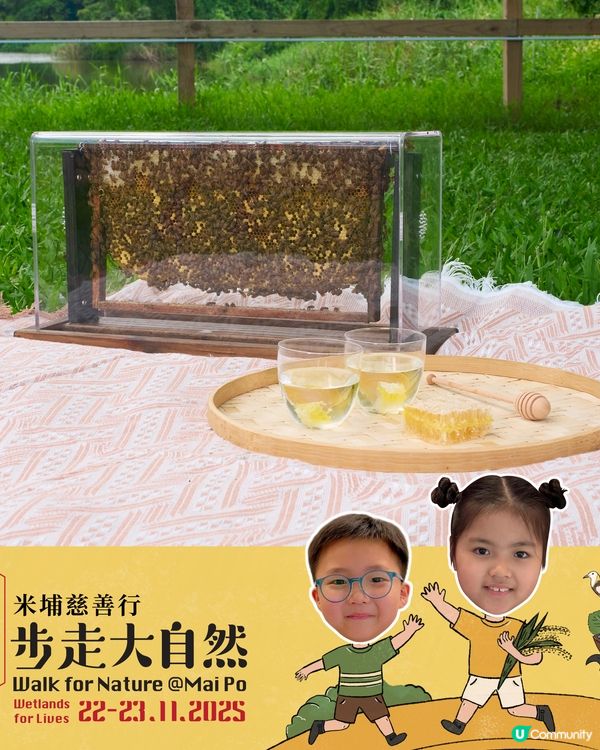 米埔步走大自然2025！親子必去！🏞️🦚