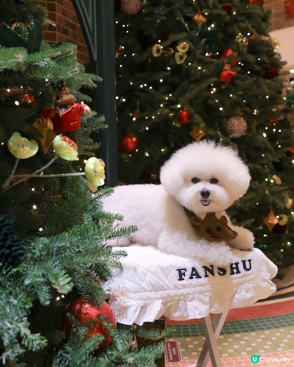 提前慶祝聖誕🎄！金鐘打卡📸！