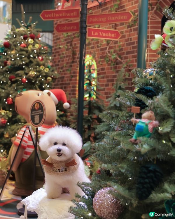 提前慶祝聖誕🎄！金鐘打卡📸！