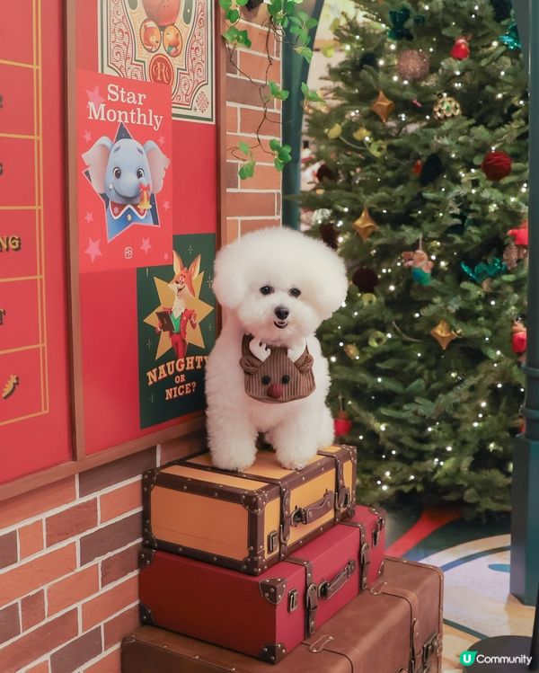 提前慶祝聖誕🎄！金鐘打卡📸！
