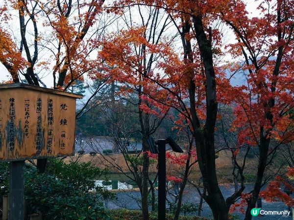 平等院千年古剎，鳳凰堂超靚！🤩