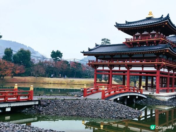 平等院千年古剎，鳳凰堂超靚！🤩