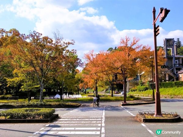 山口駅紅葉🍁！徒步距離 亀山公園+瑠璃光寺🤩！