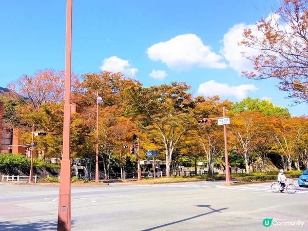 山口駅紅葉🍁！徒步距離 亀山公園+瑠璃光寺🤩！