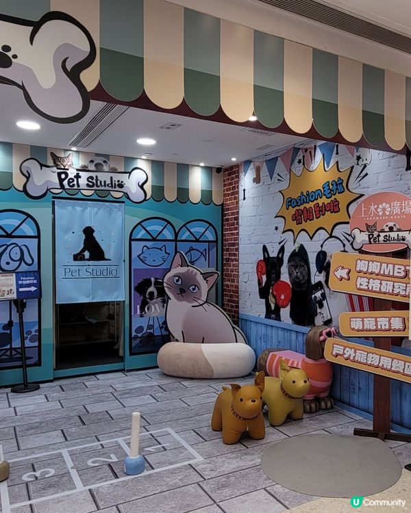 Pet Studio