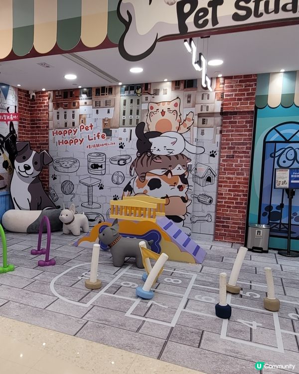 Pet Studio