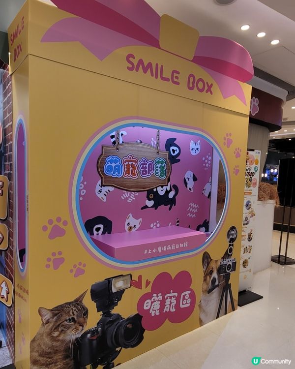 Pet Studio