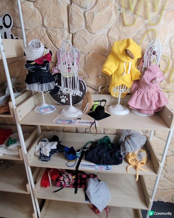 Pet Studio