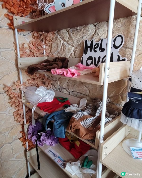 Pet Studio