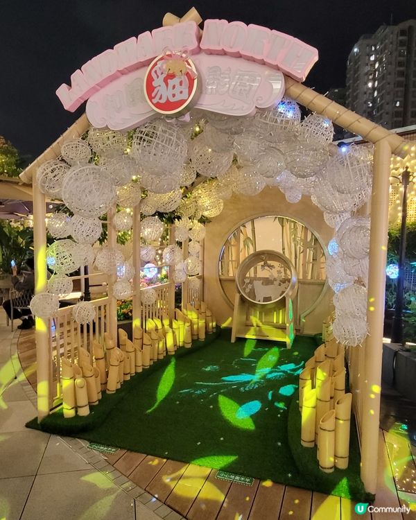 帶主子打卡好地方