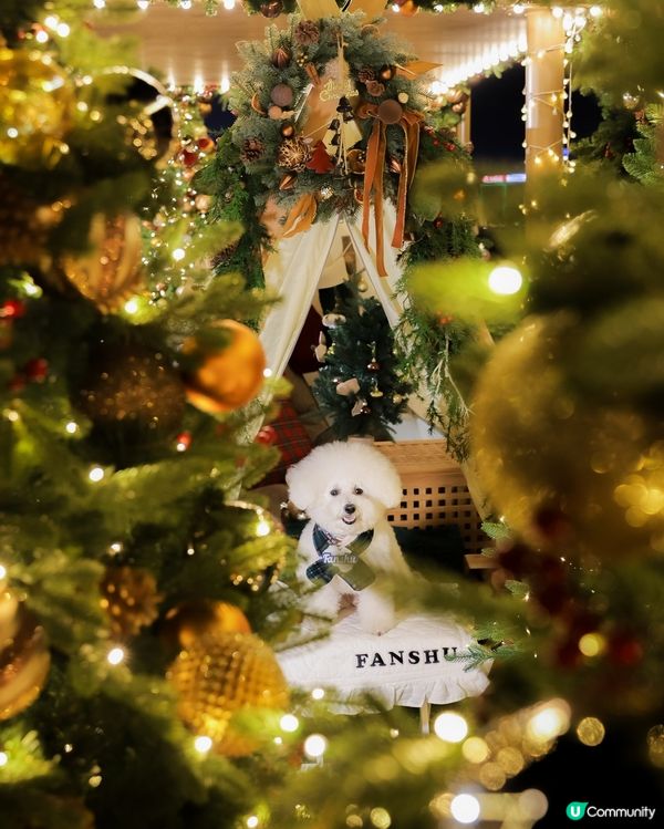 西九聖誕森林🌲！浪漫到爆！😍