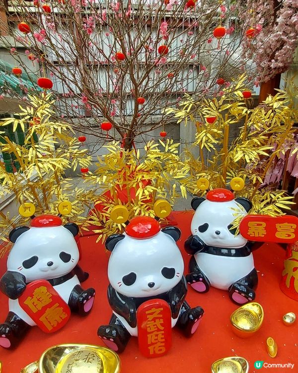 新年去文武廟祈福遇見可愛的大熊貓和我們拜年