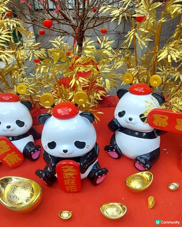 新年去文武廟祈福遇見可愛的大熊貓和我們拜年