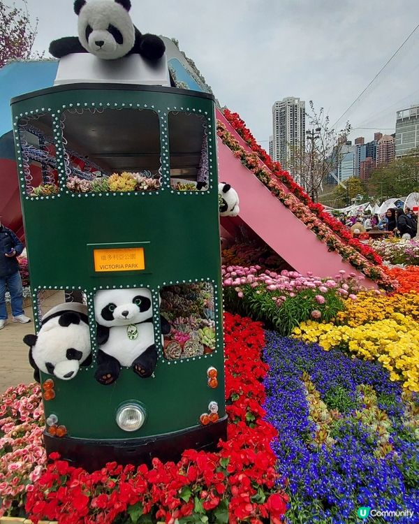 2025綻放中的花展