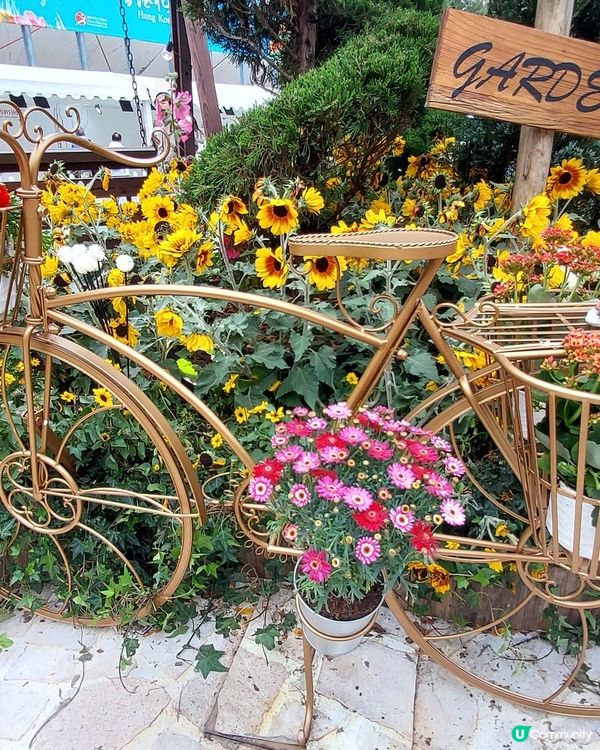 2025綻放中的花展