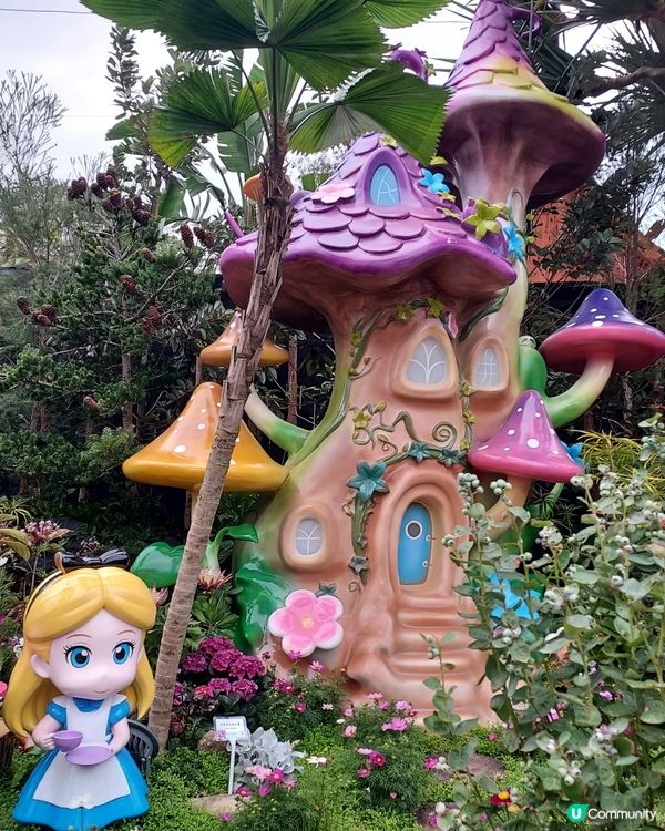 2025綻放中的花展