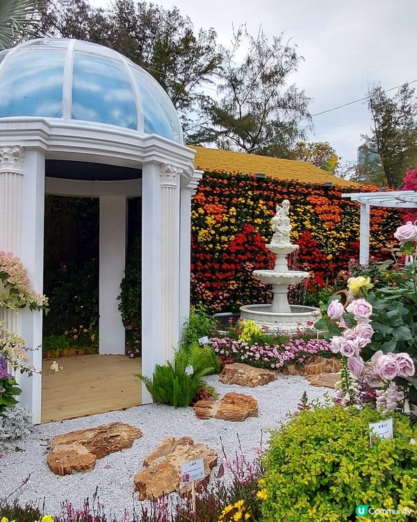 2025綻放中的花展