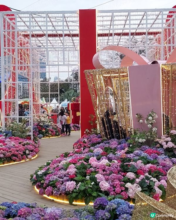 2025綻放中的花展