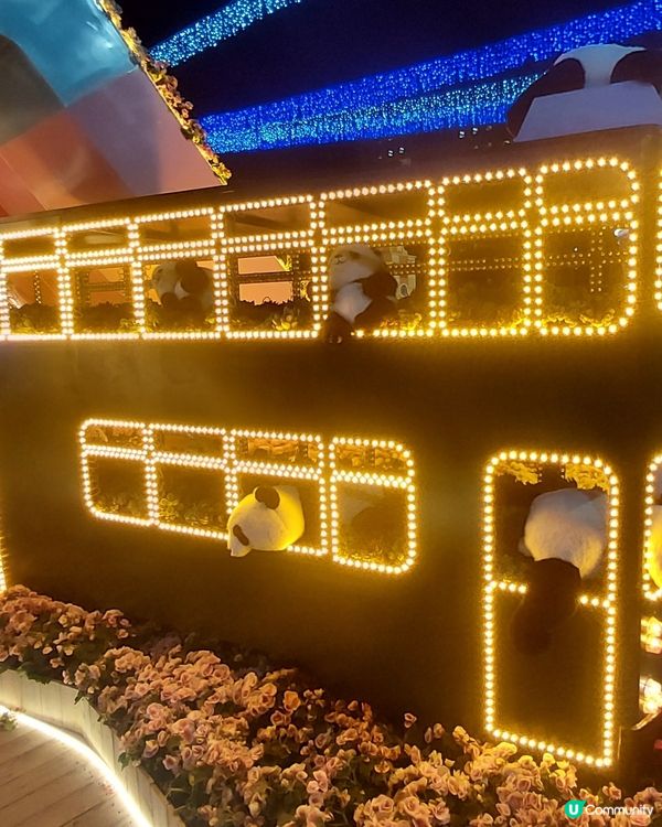 2025綻放中的花展