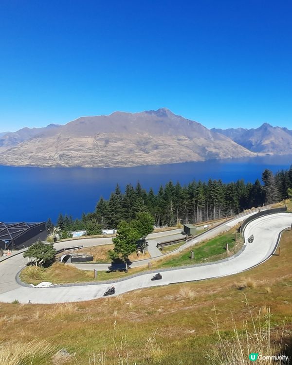 皇后鎮Skyline Luge真係超好玩！