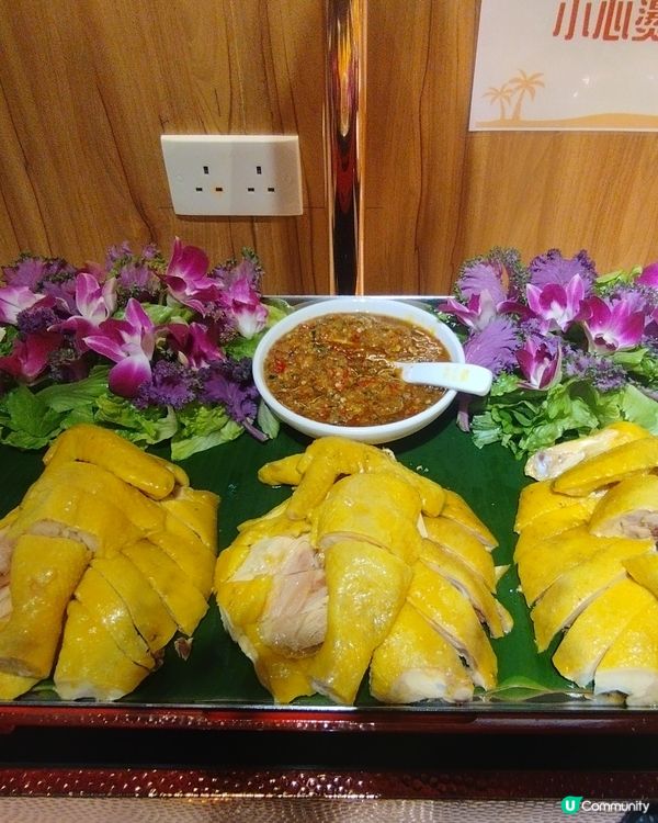 今日去咗觀塘亞太中心到食泰金鍋泰國自助餐，仲有一人邊爐鍋