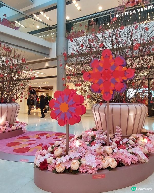 鳳凰展翅賀新春