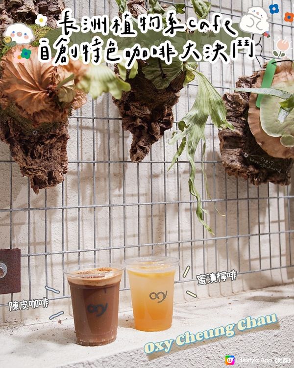 長洲植物系Cafe🪴自創陳皮咖啡