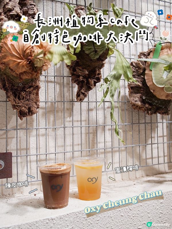 長洲植物系Cafe🪴自創陳皮咖啡