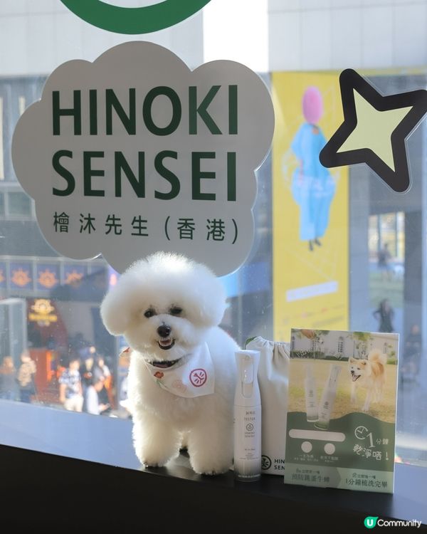 懶人必備！1分鐘變身棉花糖🐶✨