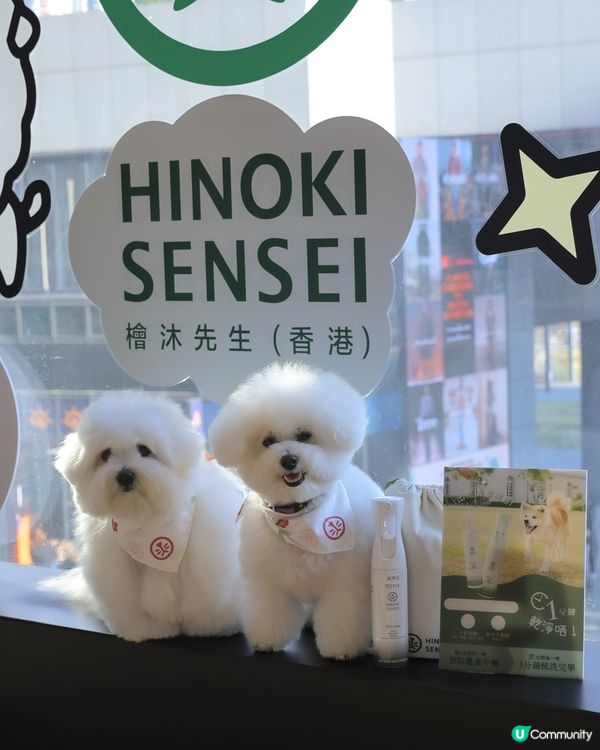 懶人必備！1分鐘變身棉花糖🐶✨