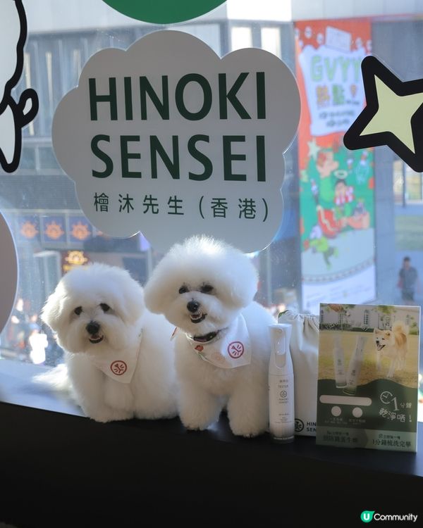 懶人必備！1分鐘變身棉花糖🐶✨