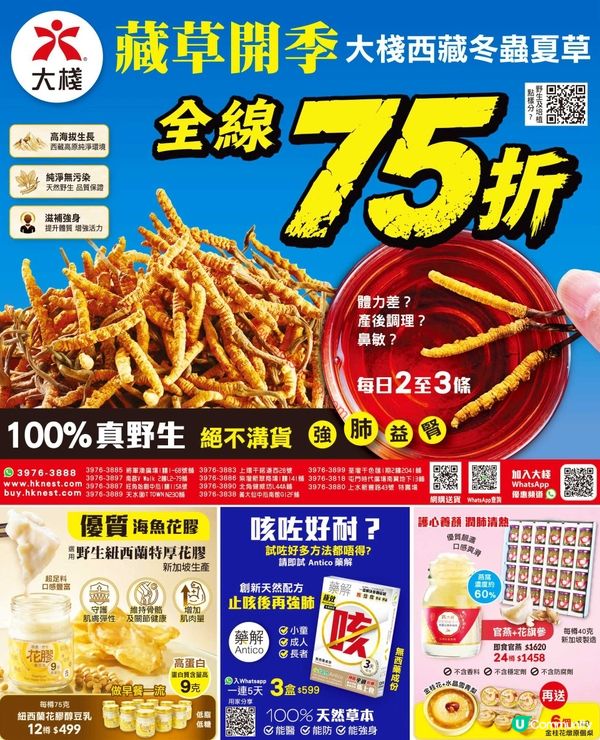 樓上・安記・大棧：夏日激賞優惠盡覽！
