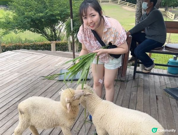 曼谷考艾Primo Piazza 係一個彷意大利的景點，一埋...