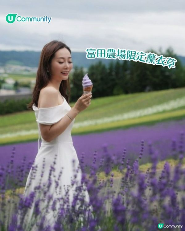 北海道富良野薰衣草賞花之旅丨日本最大薰衣草花海 一日遊攻略、交通方法