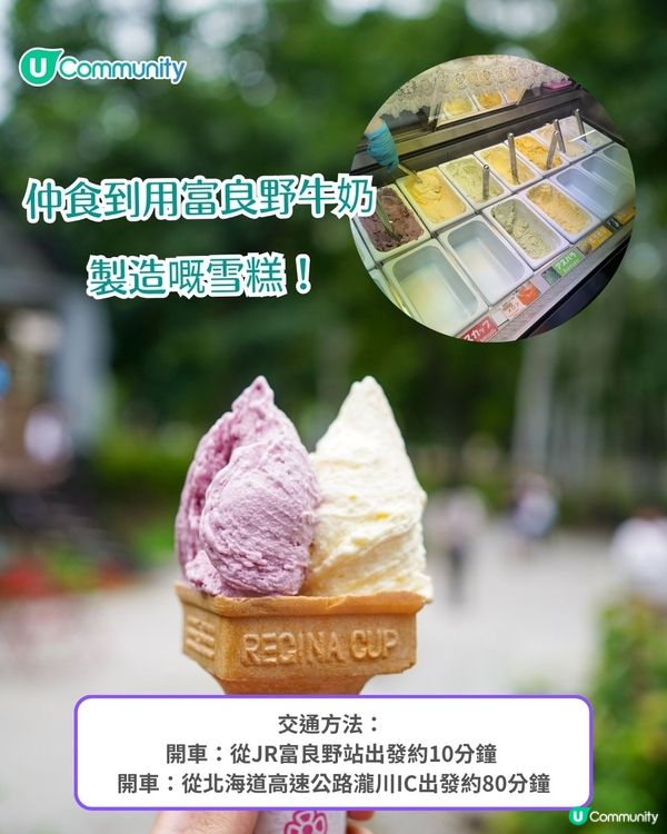 北海道富良野薰衣草賞花之旅丨日本最大薰衣草花海 一日遊攻略、交通方法