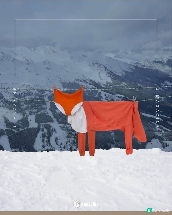 把晾衫日常變成藝術？！化成沙漠中的駱駝、草原上的大 平凡的曬衣服也能成為藝術？🤯 俄羅斯出生的英國藝術家Helga Stentzel 將日常家務變成一場視覺遊戲！她用晾曬的衣服創造出各種場景，從沙漠中的駱駝到草原上的大象，每一件作品都充滿巧思和幽默✨下次曬衣服時，不妨也發揮你的想像力，看看能發現什麼新奇的畫面吧！   #HelgaStentzel  來源：@helga.stentzel 象