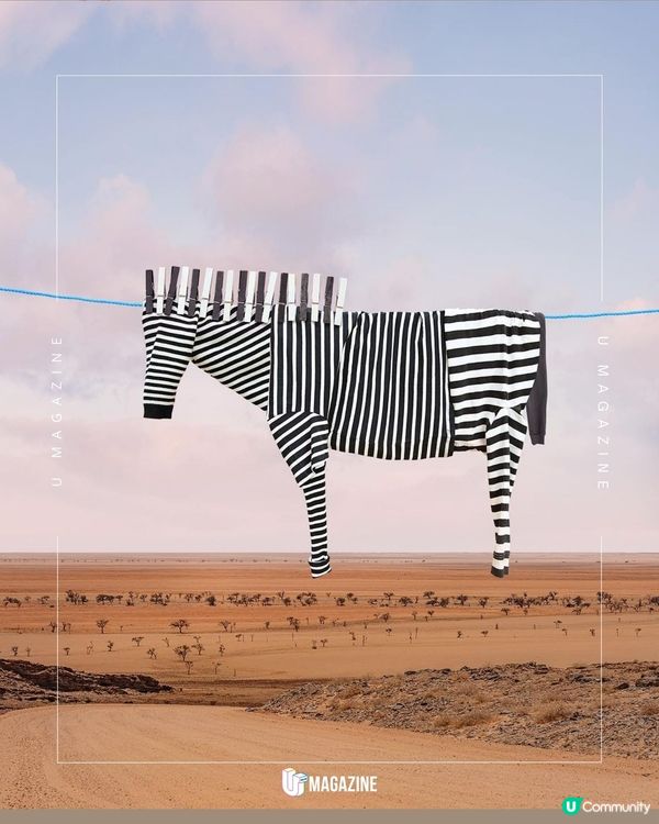 把晾衫日常變成藝術？！化成沙漠中的駱駝、草原上的大 平凡的曬衣服也能成為藝術？🤯 俄羅斯出生的英國藝術家Helga Stentzel 將日常家務變成一場視覺遊戲！她用晾曬的衣服創造出各種場景，從沙漠中的駱駝到草原上的大象，每一件作品都充滿巧思和幽默✨下次曬衣服時，不妨也發揮你的想像力，看看能發現什麼新奇的畫面吧！   #HelgaStentzel  來源：@helga.stentzel 象