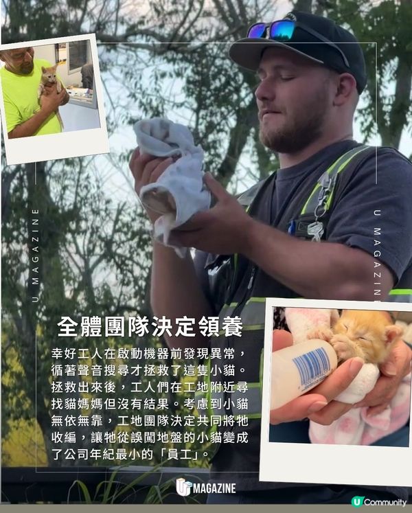 掘土機救出幼貓成地盤「新員工」｜獲特製迷你安全帽＋反光背心                                                    