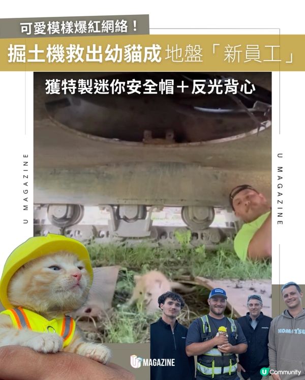 掘土機救出幼貓成地盤「新員工」｜獲特製迷你安全帽＋反光背心                                                    