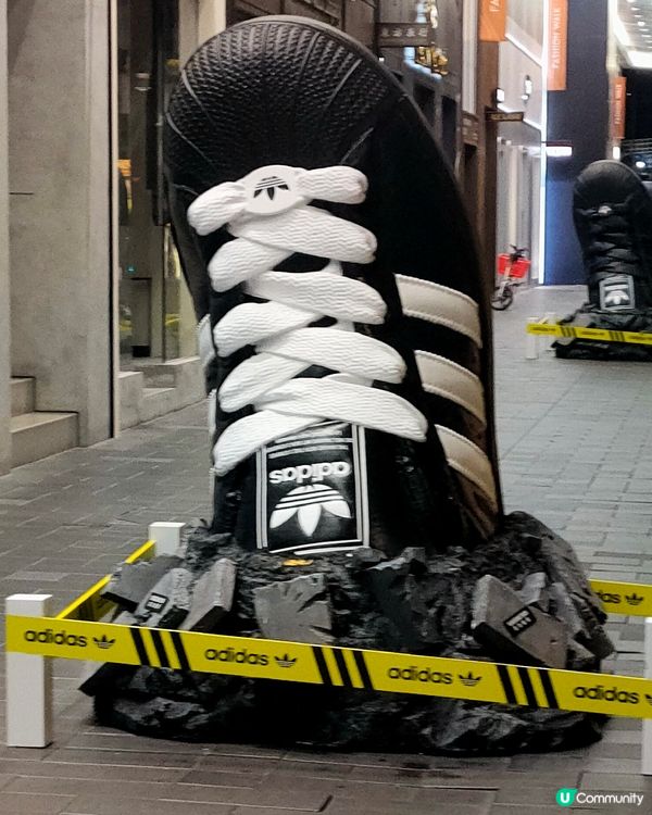 Adidas巨型波鞋s & 鞋盒 銅鑼灣街頭出沒注意！👟