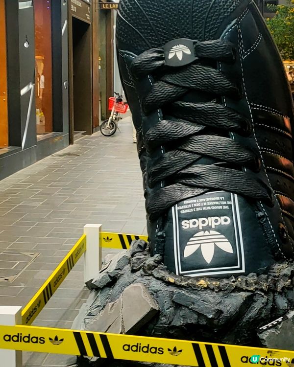 Adidas巨型波鞋s & 鞋盒 銅鑼灣街頭出沒注意！👟
