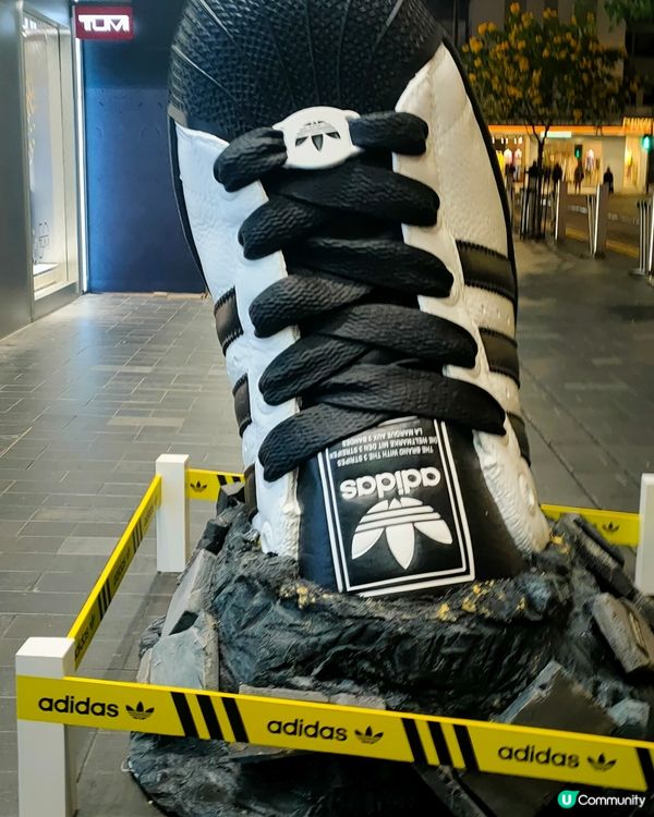 Adidas巨型波鞋s & 鞋盒 銅鑼灣街頭出沒注意！👟