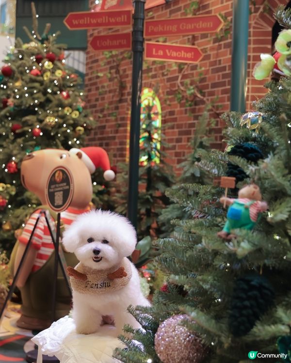 太古廣場聖誕🎄濃度爆燈！🤩 10000%