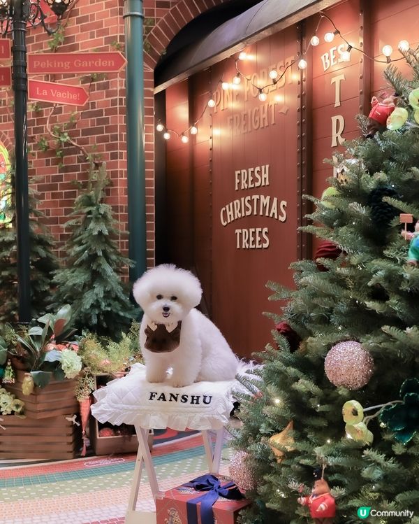 太古廣場聖誕🎄濃度爆燈！🤩 10000%