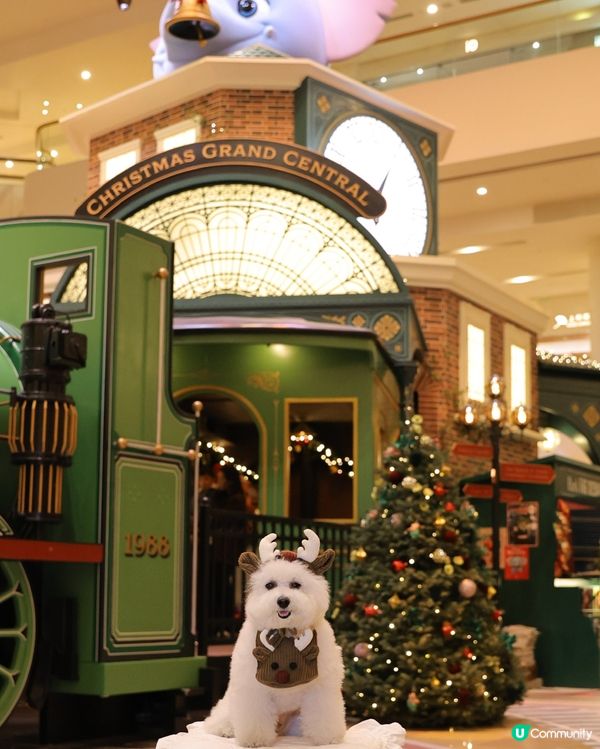 太古廣場聖誕🎄濃度爆燈！🤩 10000%