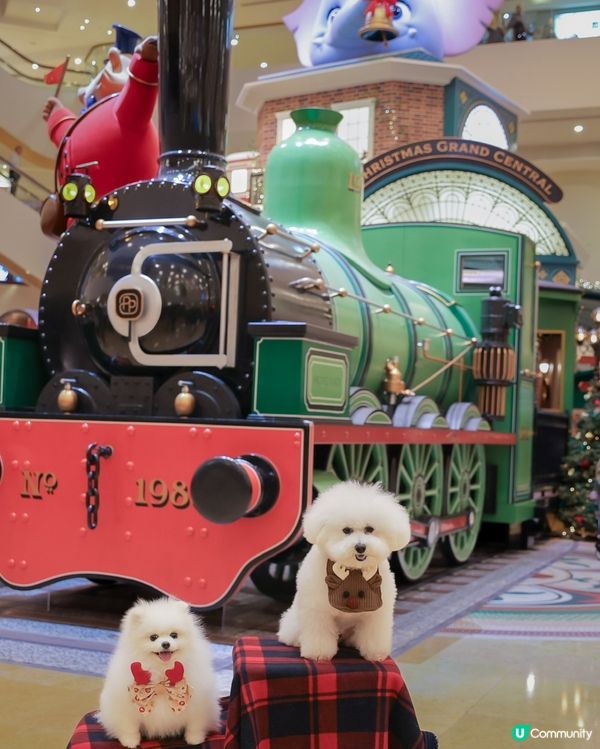 太古廣場聖誕🎄濃度爆燈！🤩 10000%