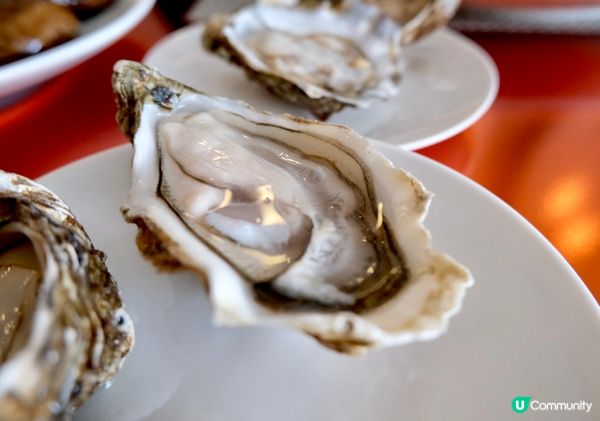 假日海鮮自助餐- 即開生蠔、即燒龍蝦鉗